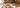 Spice Profile: Caraway